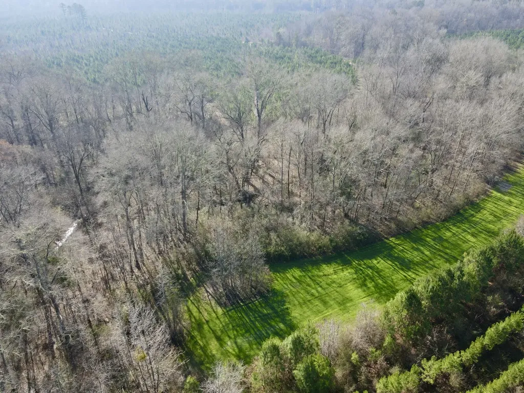 0 Dallas County Road 324 Minter AL 36761