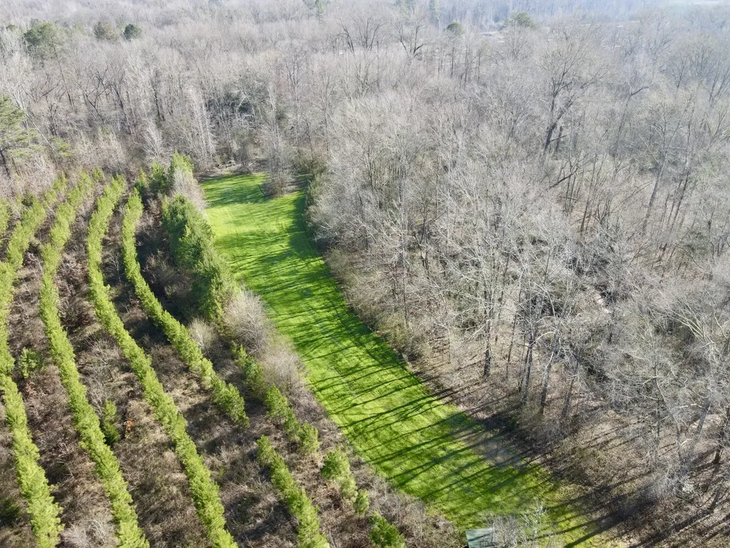 0 Dallas County Road 324 Minter AL 36761