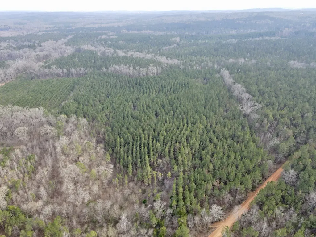 0 Dallas County Road 324 Minter AL 36761