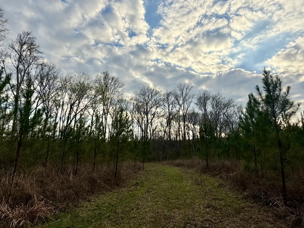 0 Dallas County Road 324 Minter AL 36761
