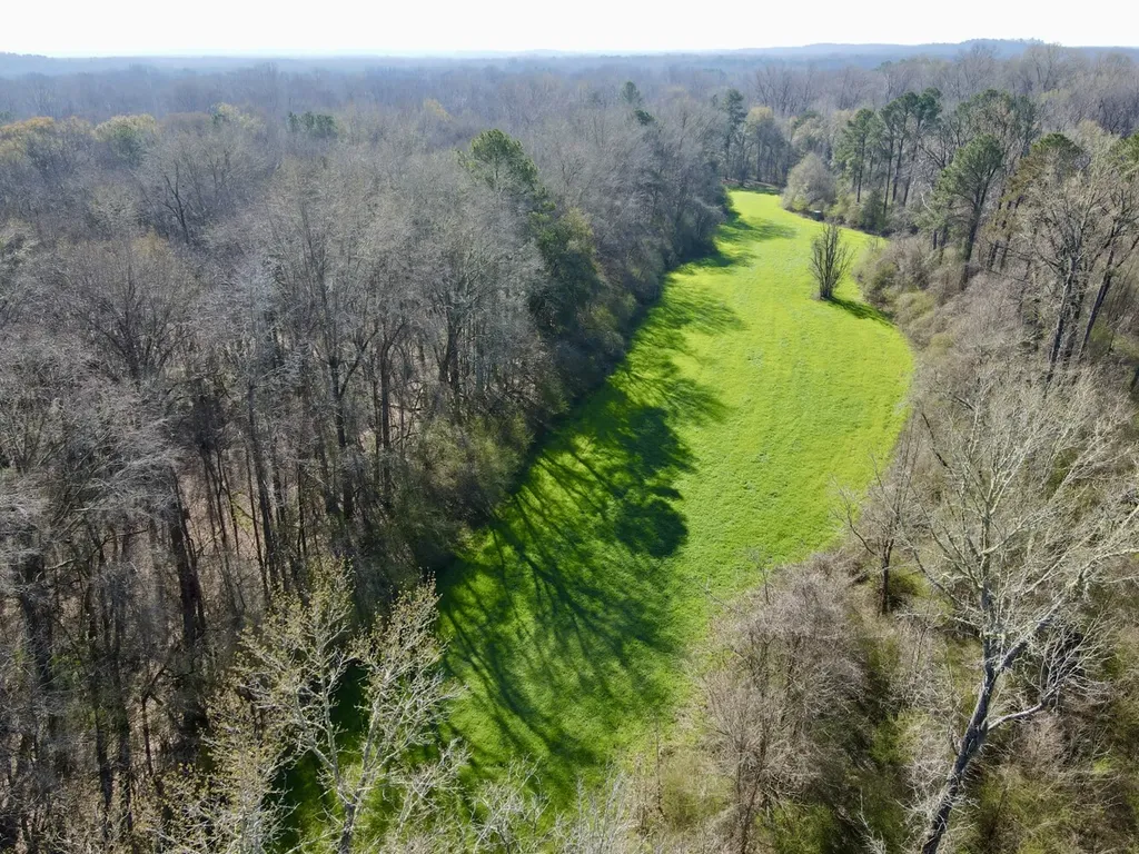 0 Dallas County Road 324 Minter AL 36761