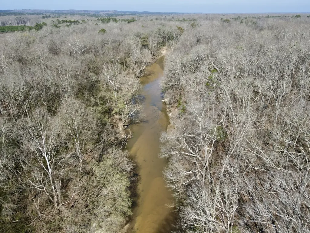 0 Dallas County Road 324 Minter AL 36761