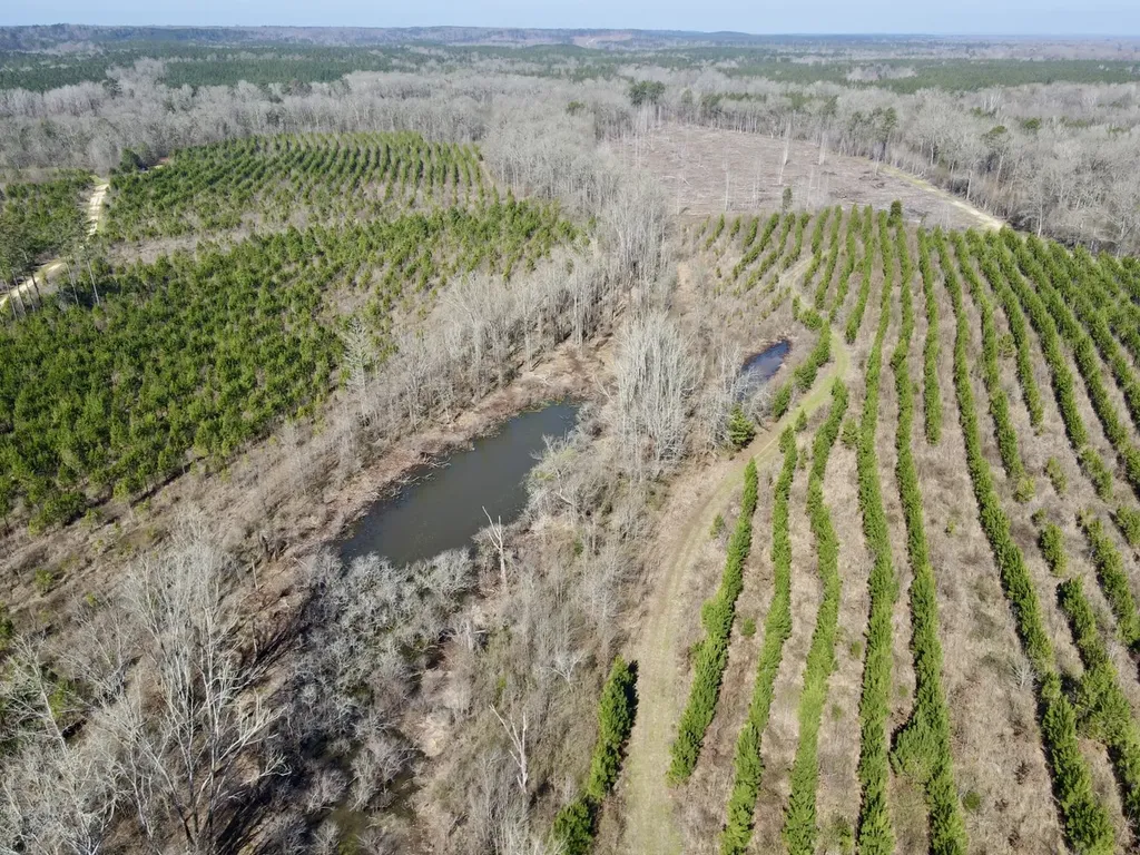 0 Dallas County Road 324 Minter AL 36761