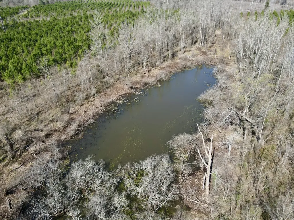 0 Dallas County Road 324 Minter AL 36761