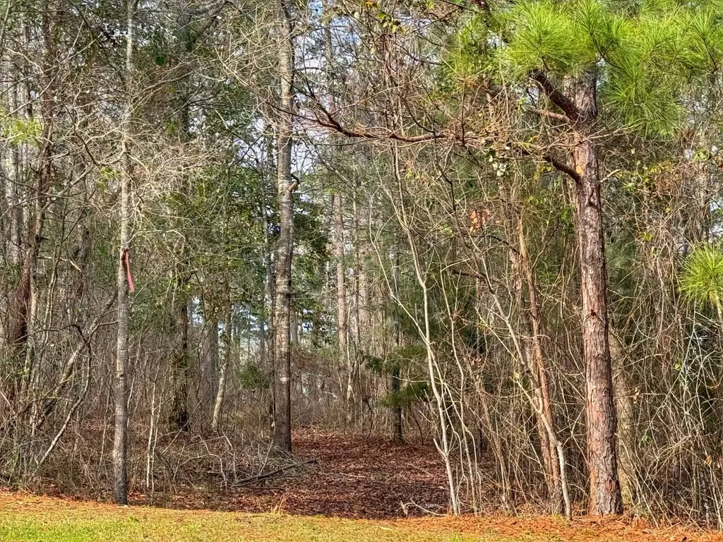 01 Port Tack Double Springs AL 35553