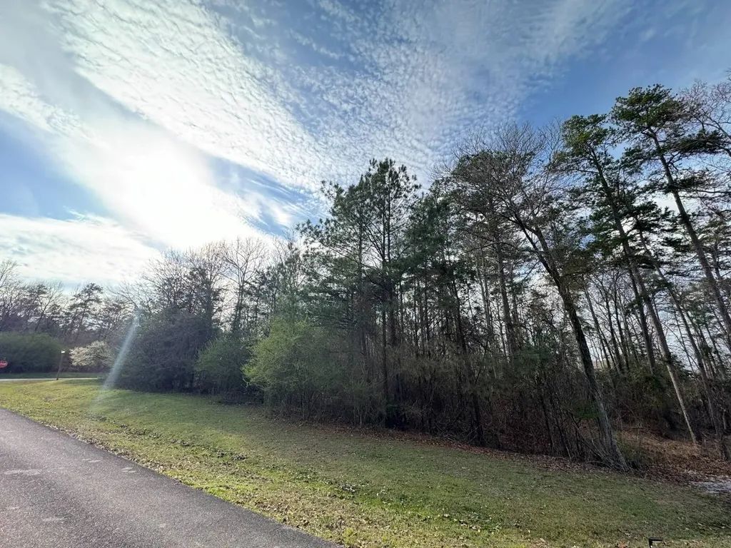 01 Port Tack Double Springs AL 35553