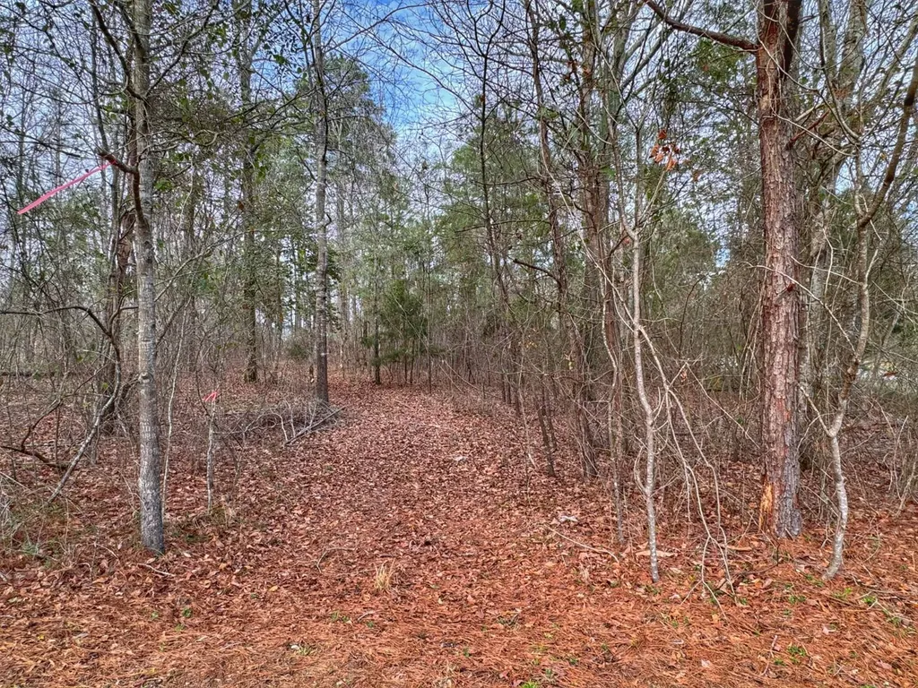 01 Port Tack Double Springs AL 35553