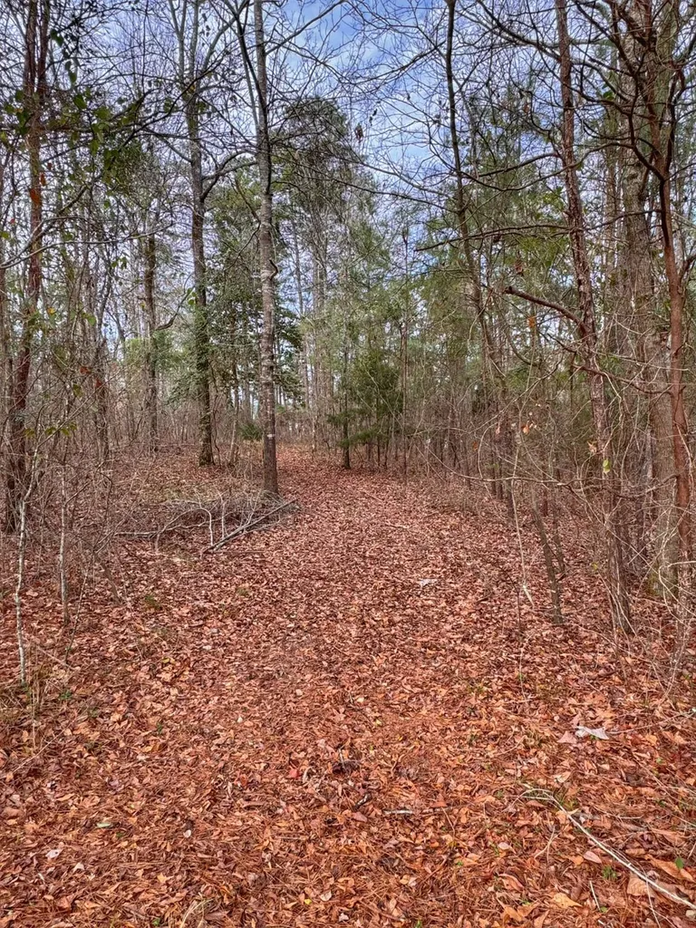 01 Port Tack Double Springs AL 35553
