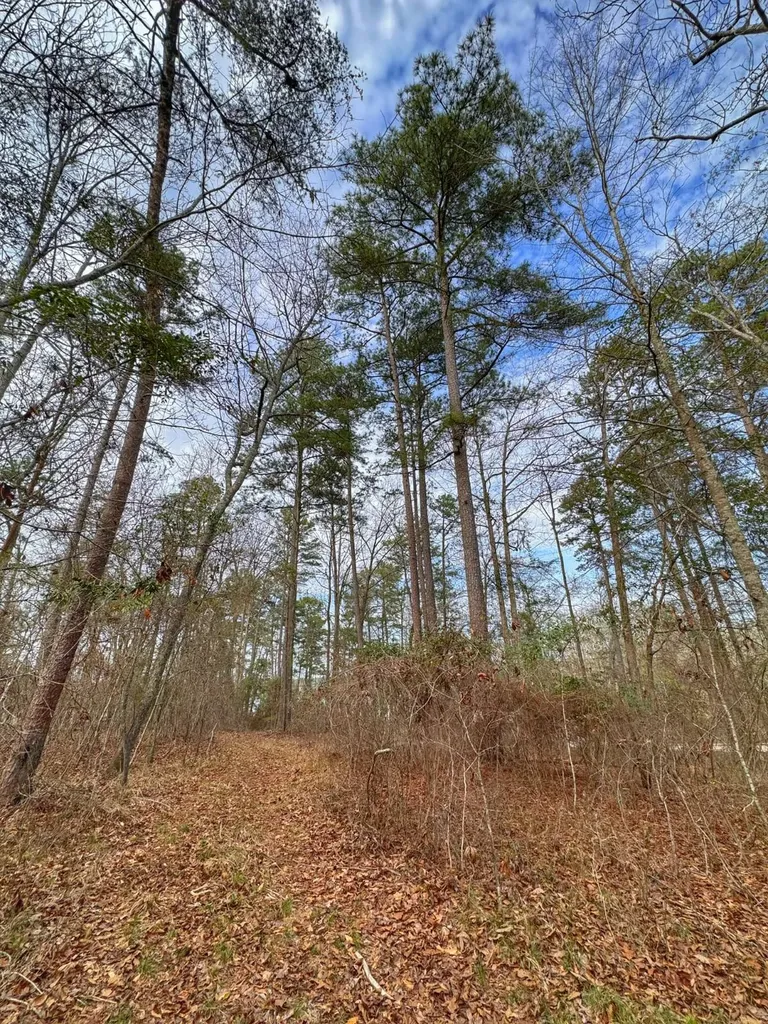 01 Port Tack Double Springs AL 35553