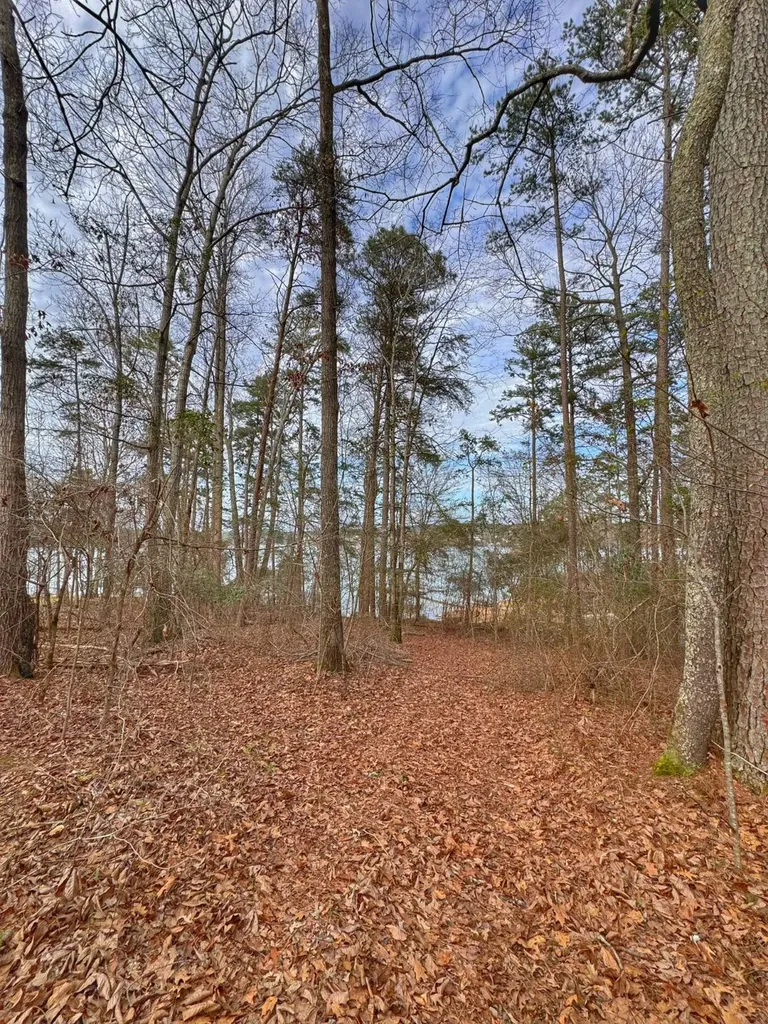 01 Port Tack Double Springs AL 35553