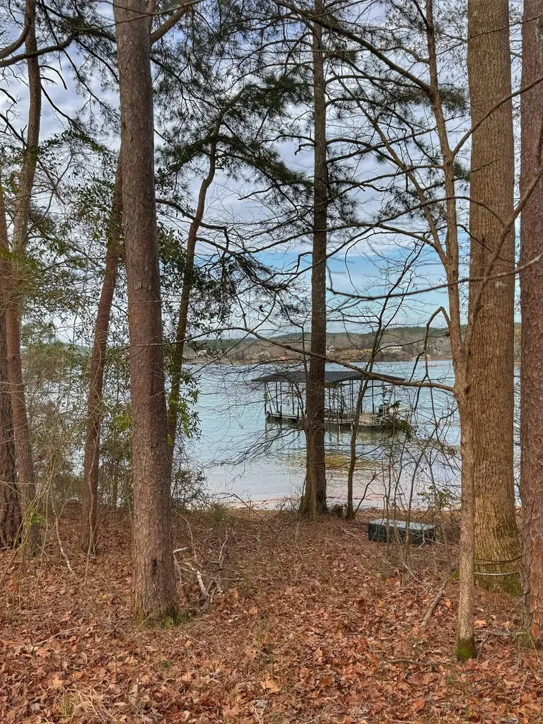 01 Port Tack Double Springs AL 35553