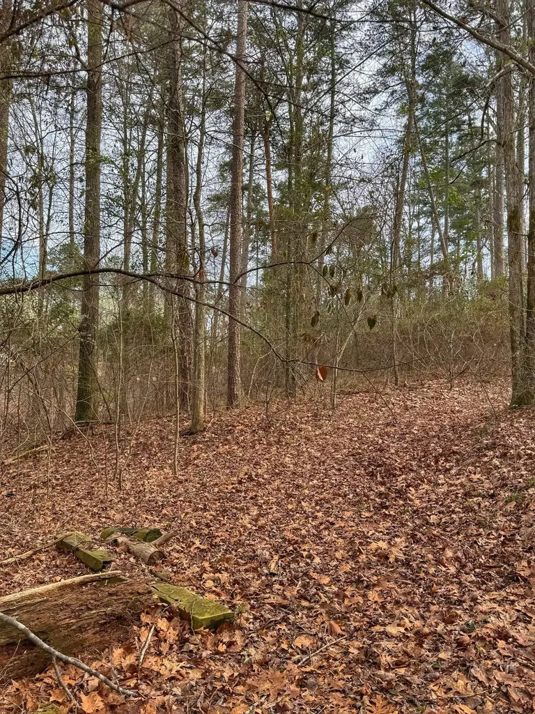01 Port Tack Double Springs AL 35553