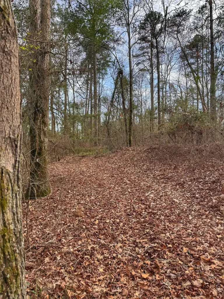 01 Port Tack Double Springs AL 35553