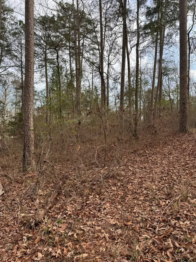 01 Port Tack Double Springs AL 35553