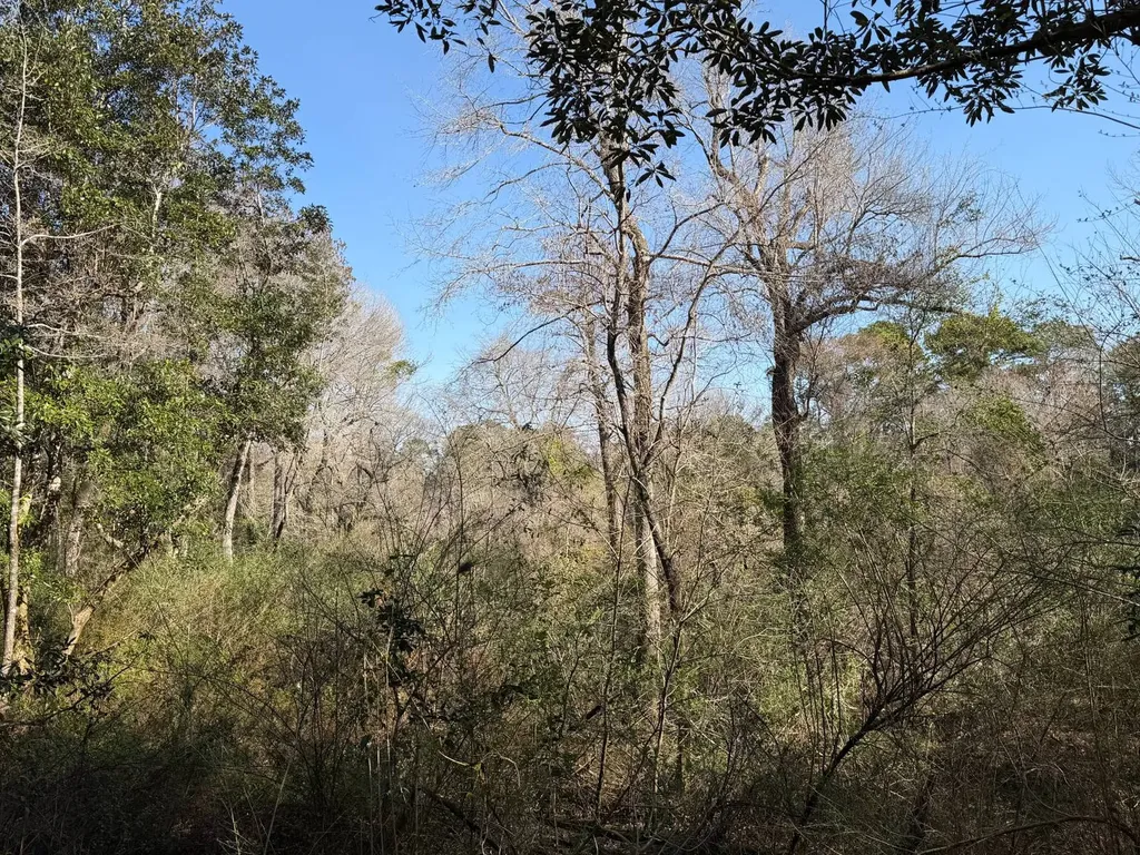 0 River Road North Daphne AL 36526