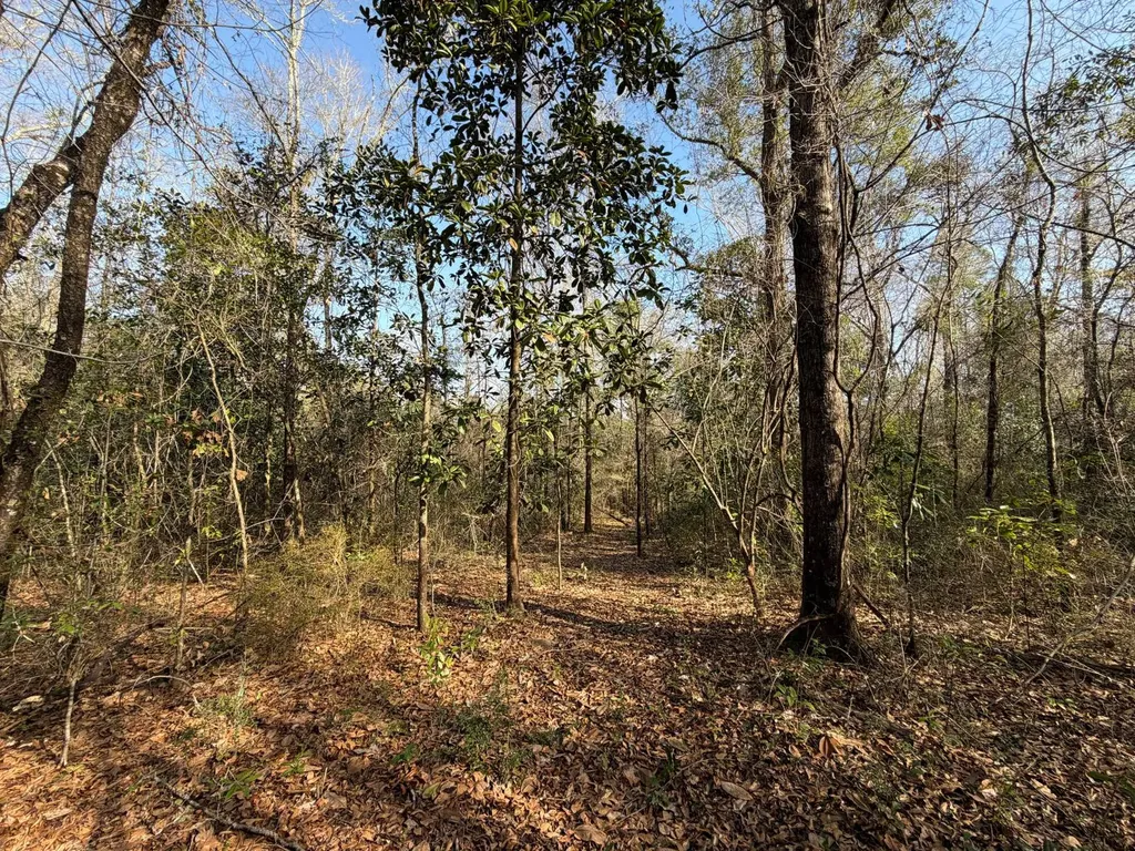 0 River Road North Daphne AL 36526