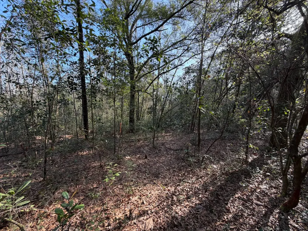 0 River Road North Daphne AL 36526