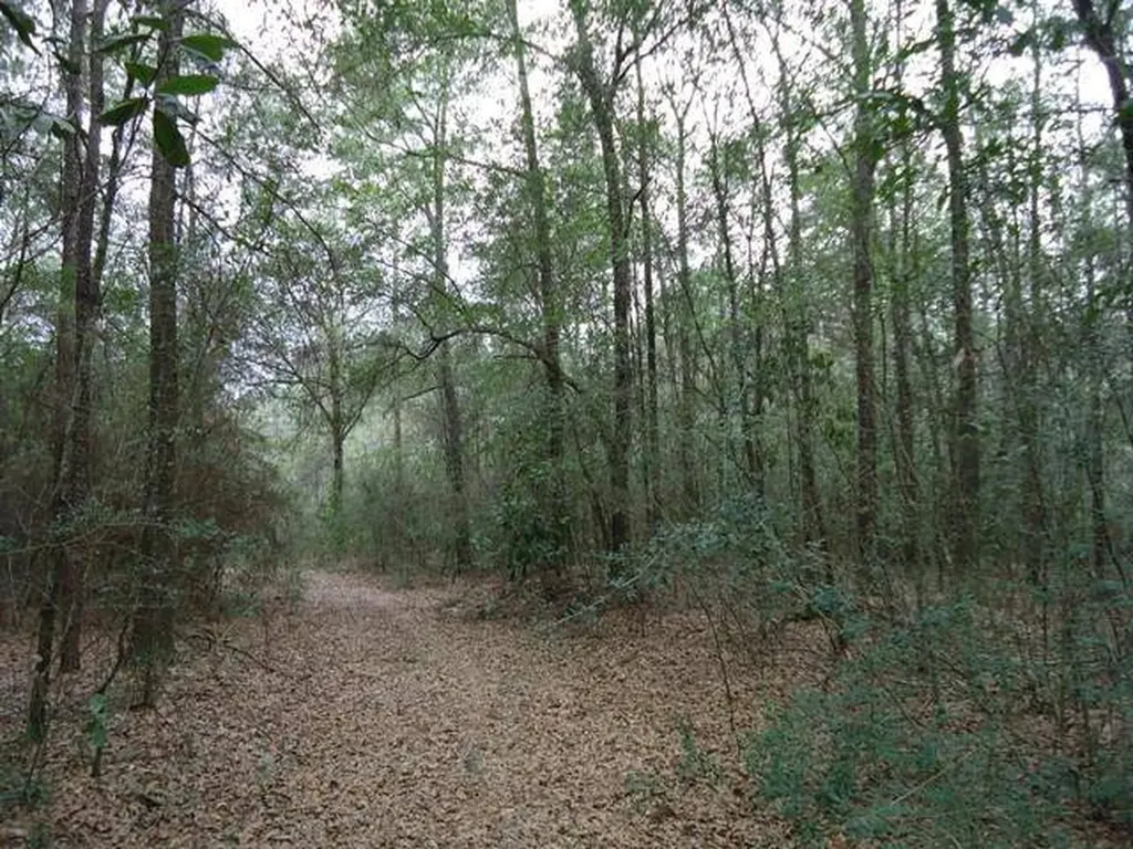 0 River Road North Daphne AL 36526