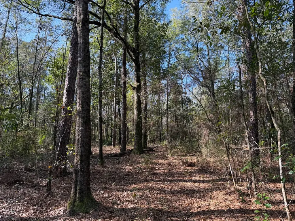 0 River Road North Daphne AL 36526
