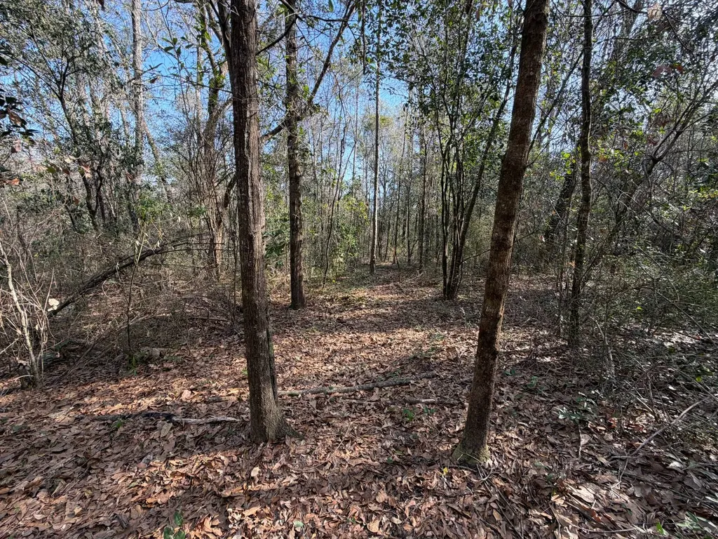 0 River Road North Daphne AL 36526