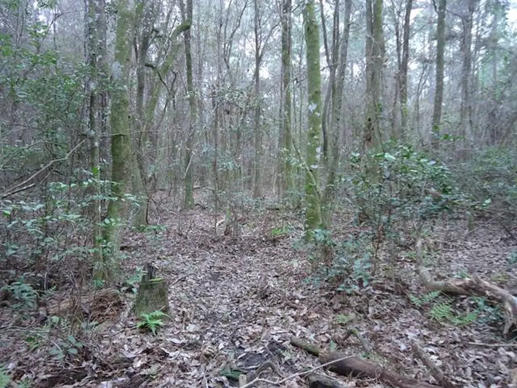 0 River Road North Daphne AL 36526