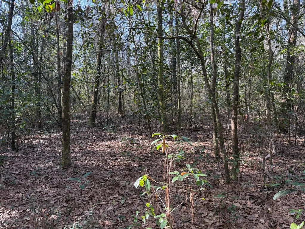 0 River Road North Daphne AL 36526