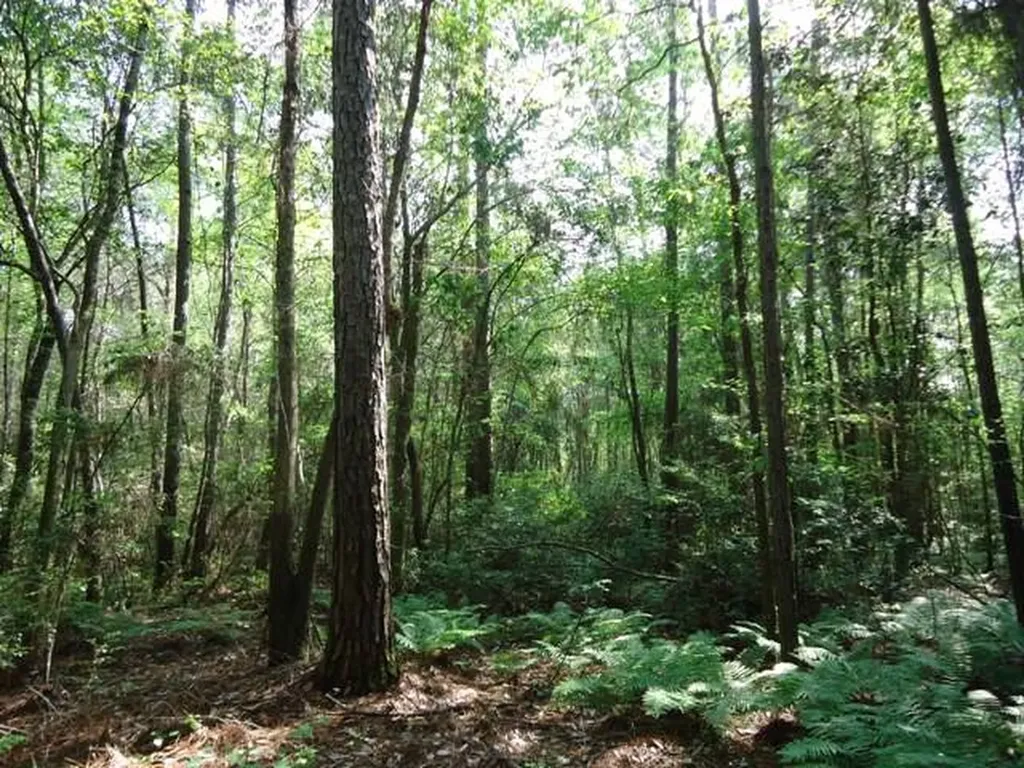 0 River Road North Daphne AL 36526