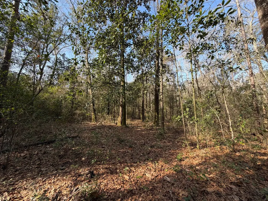 0 River Road North Daphne AL 36526