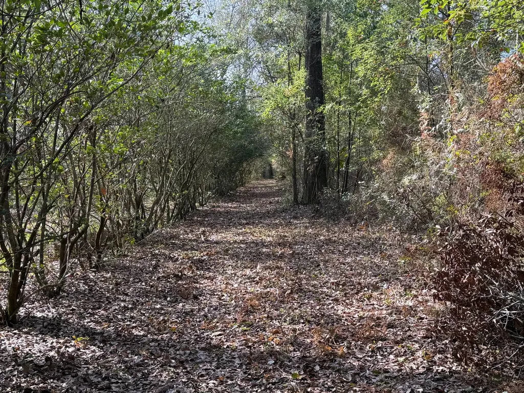 0 River Road North Daphne AL 36526
