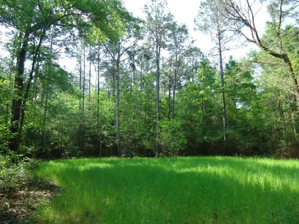 0 River Road North Daphne AL 36526