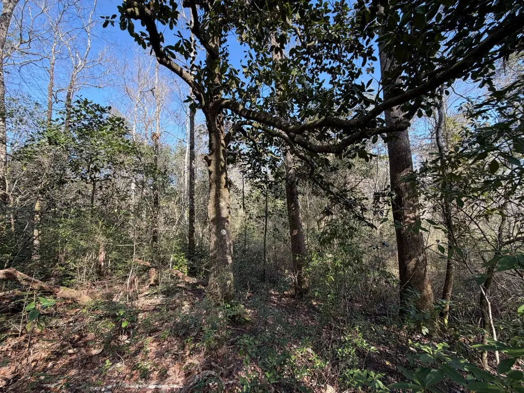 0 River Road North Daphne AL 36526