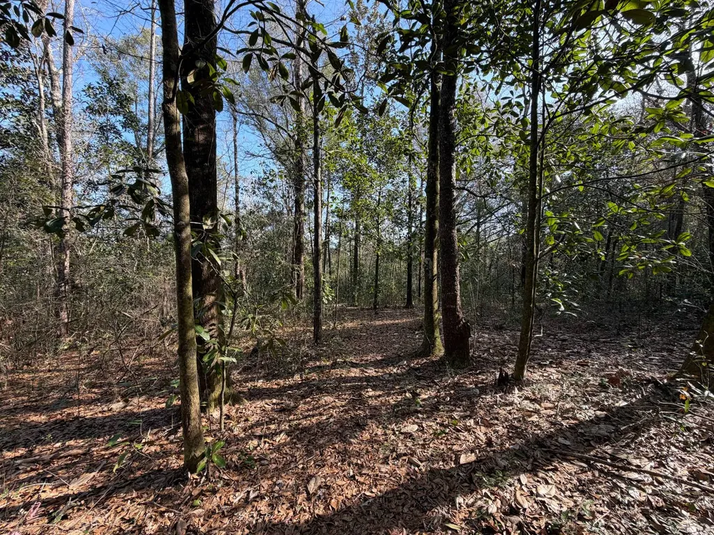 0 River Road North Daphne AL 36526