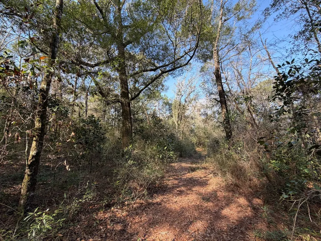 0 River Road North Daphne AL 36526