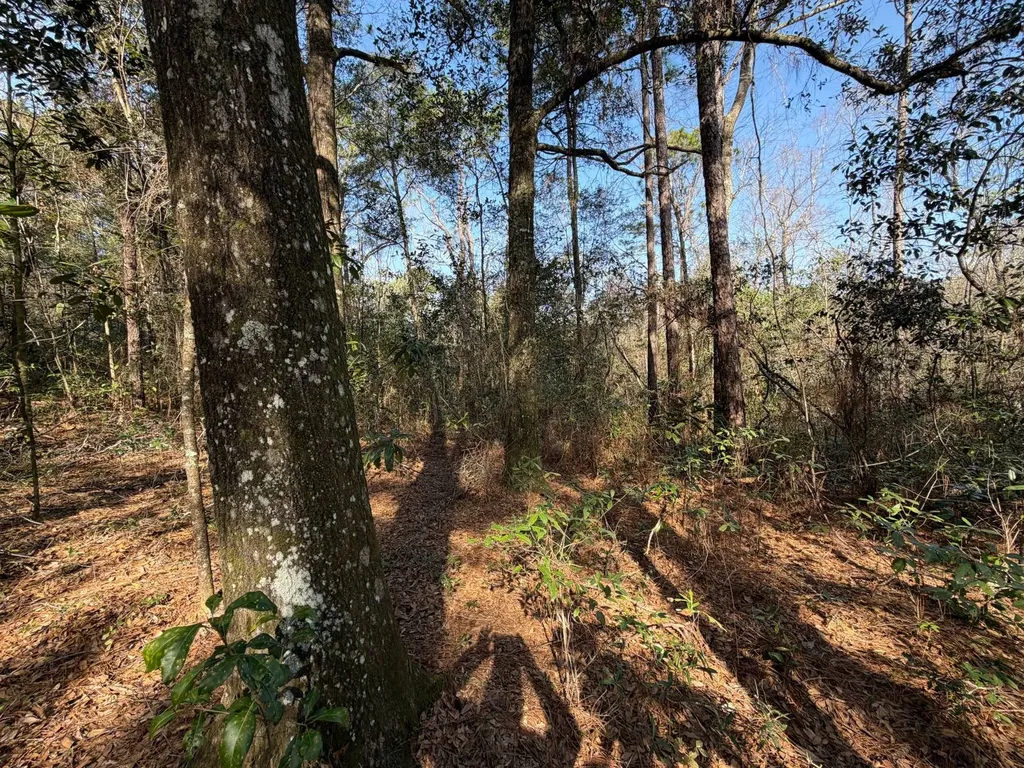 0 River Road North Daphne AL 36526