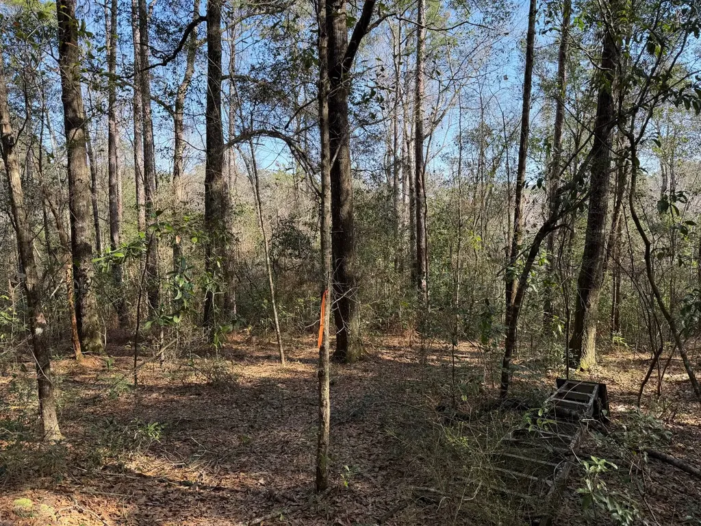 0 River Road North Daphne AL 36526
