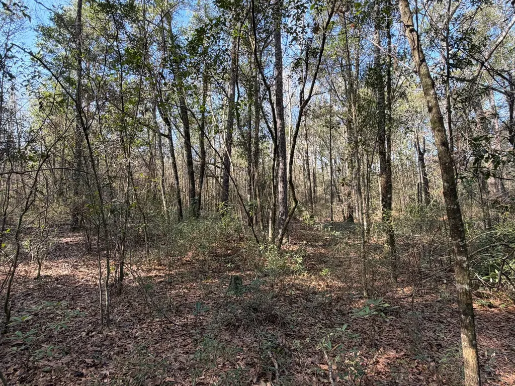 0 River Road North Daphne AL 36526
