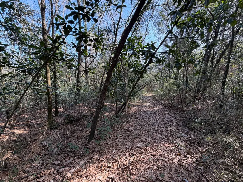 0 River Road North Daphne AL 36526