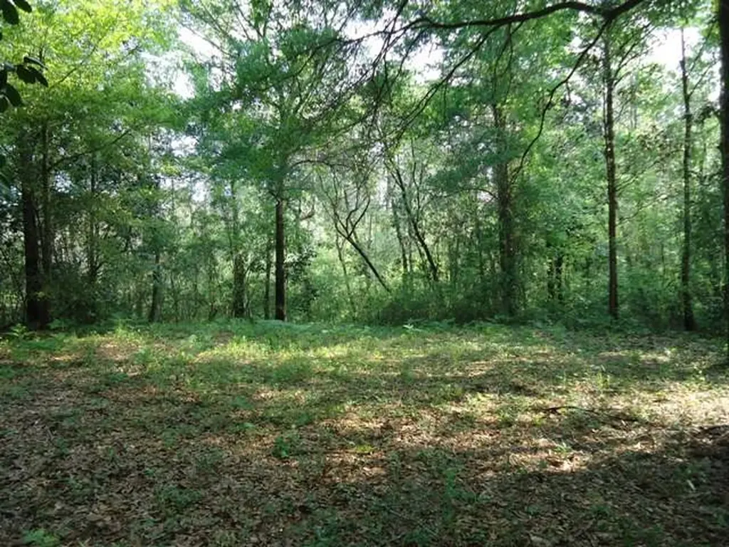 0 River Road North Daphne AL 36526