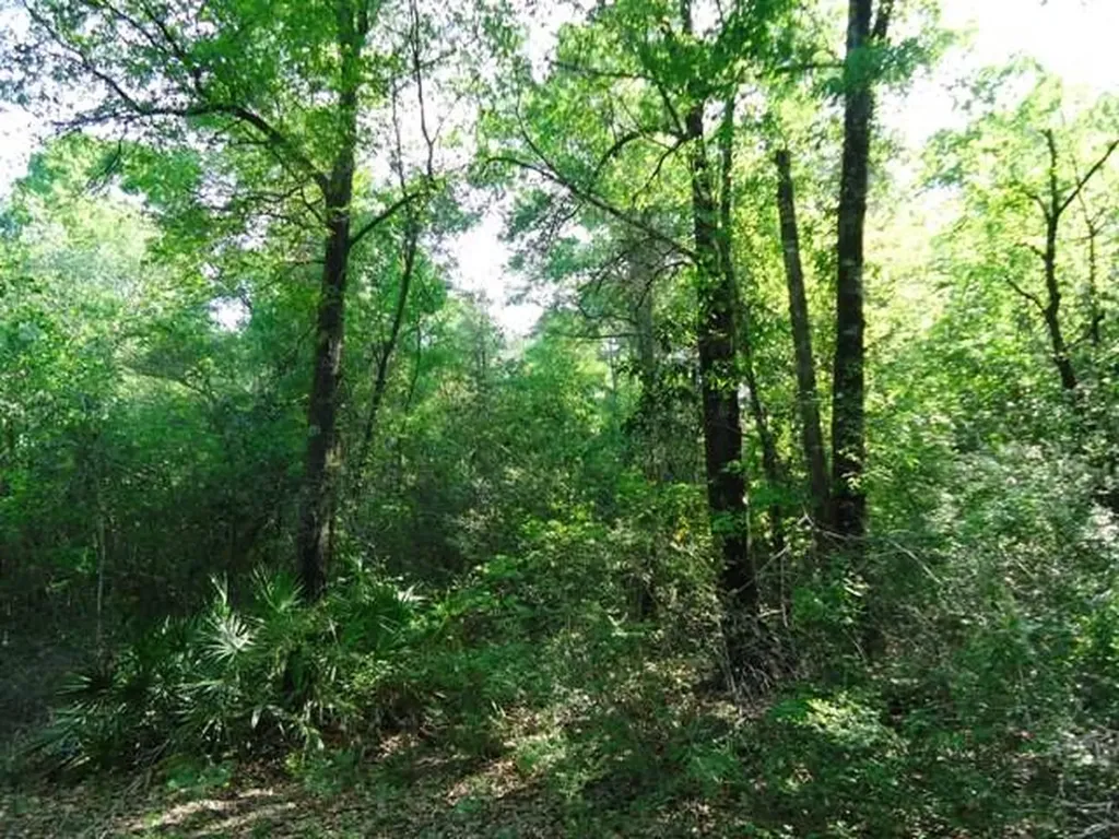 0 River Road North Daphne AL 36526