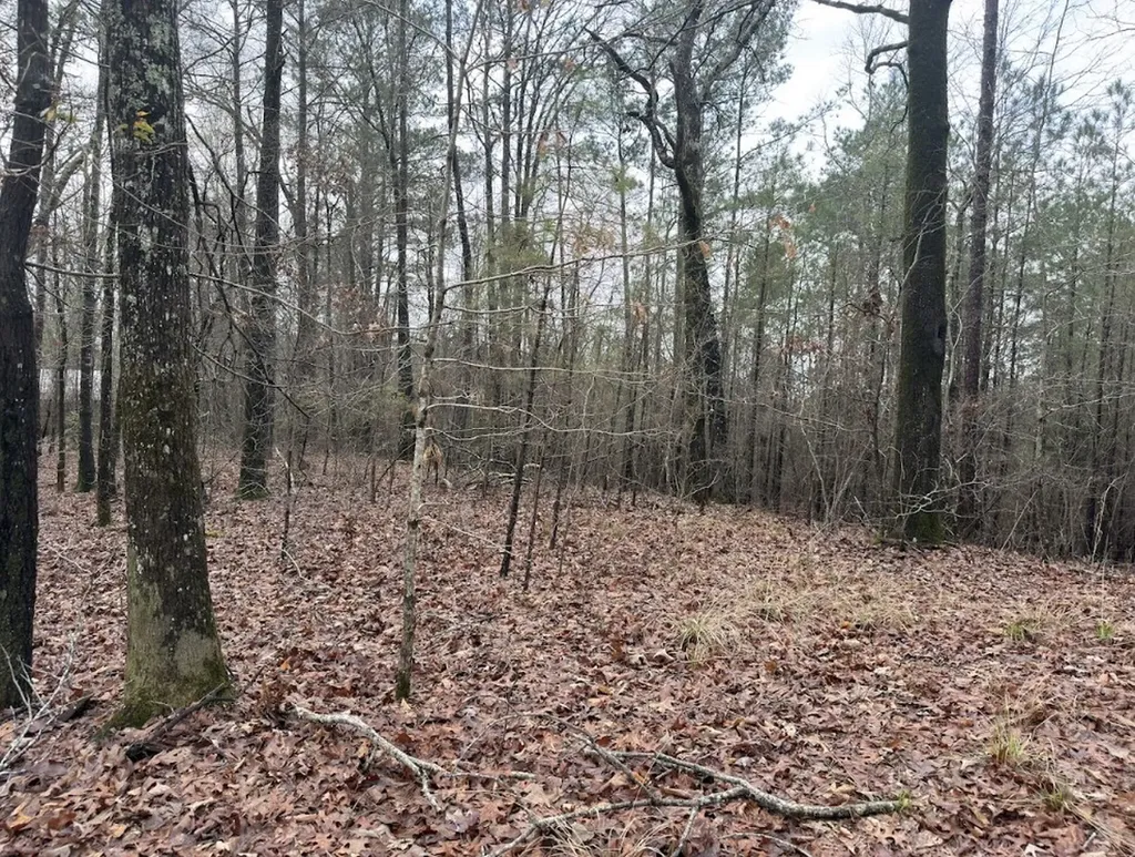 0 Otts Road Fayette AL 35555