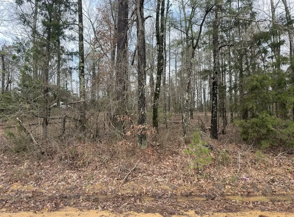 0 Otts Road Fayette AL 35555
