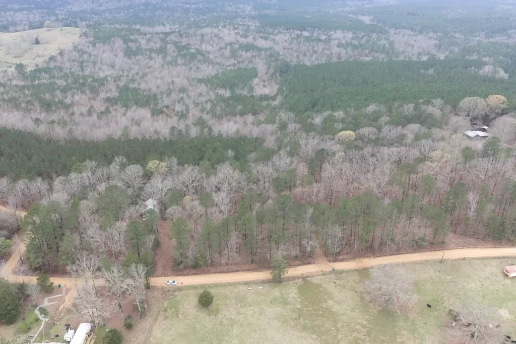 0 Otts Road Fayette AL 35555