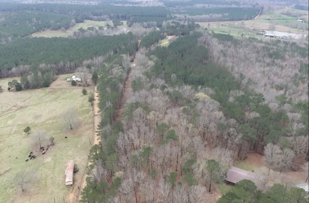0 Otts Road Fayette AL 35555