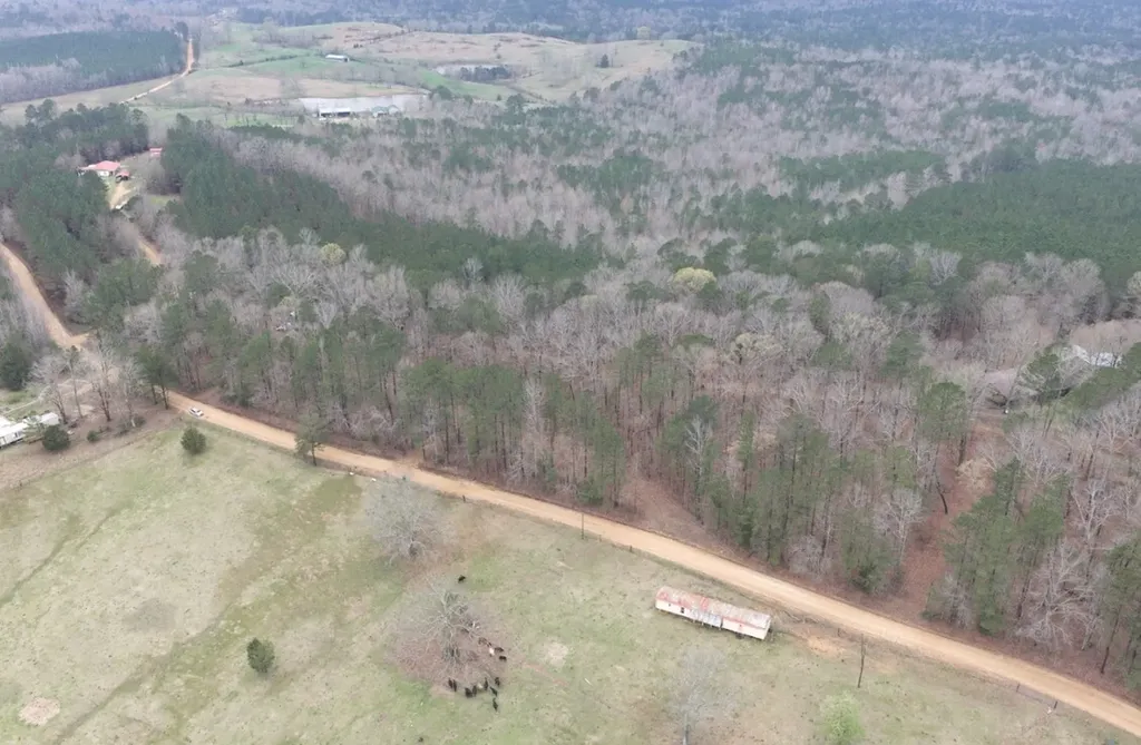0 Otts Road Fayette AL 35555
