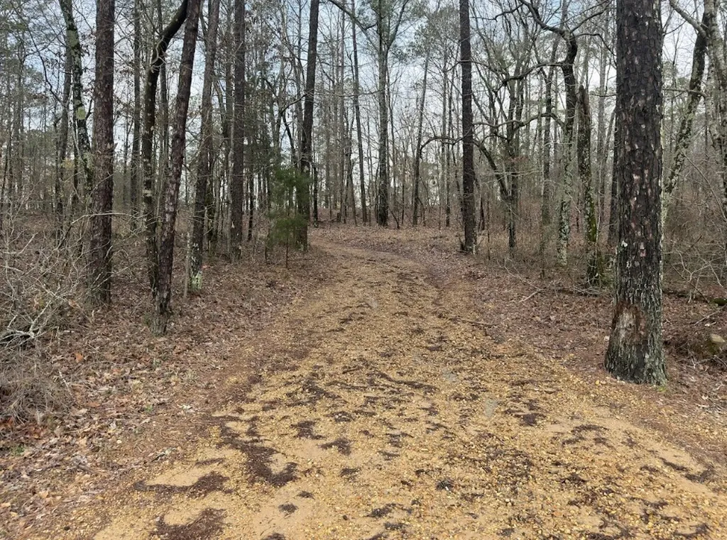 0 Otts Road Fayette AL 35555