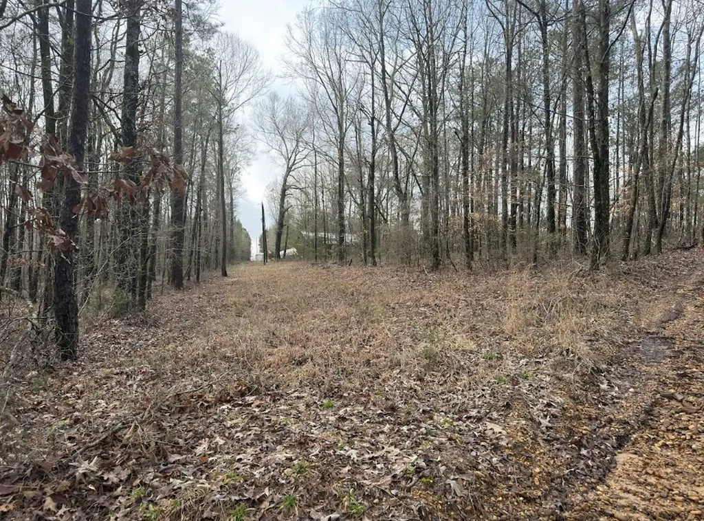 0 Otts Road Fayette AL 35555