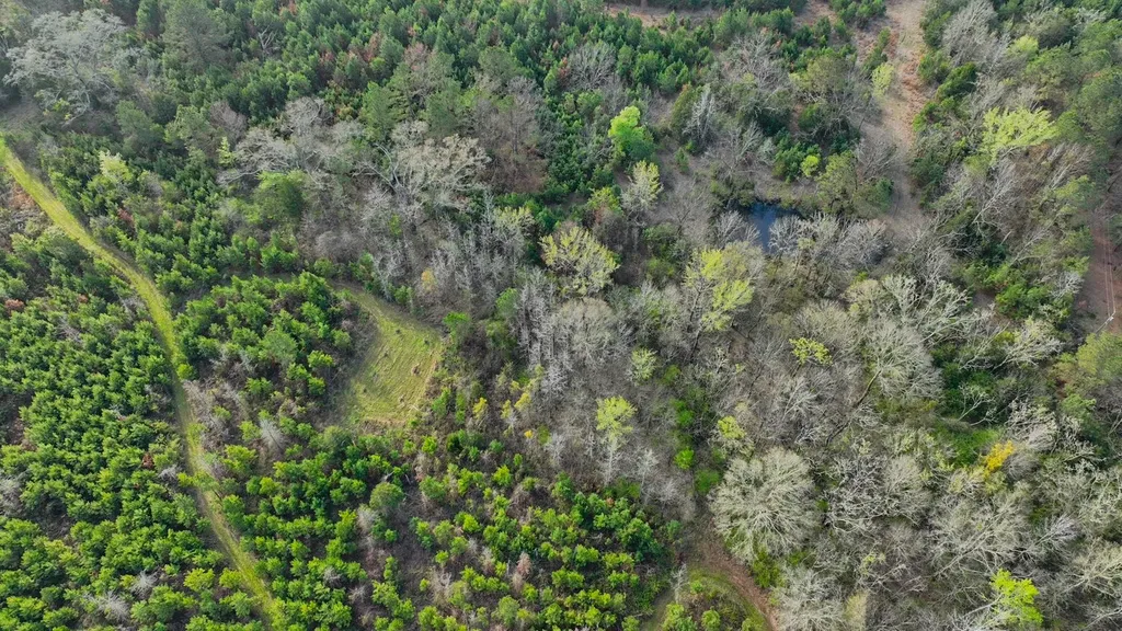 0 Co Road 11 Orrville AL 36767