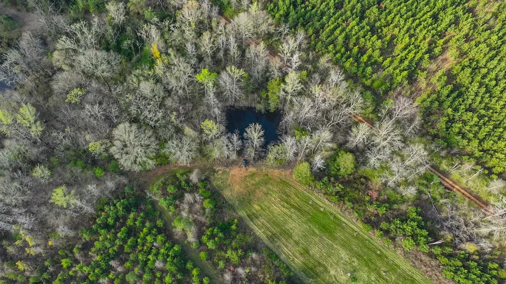 0 Co Road 11 Orrville AL 36767