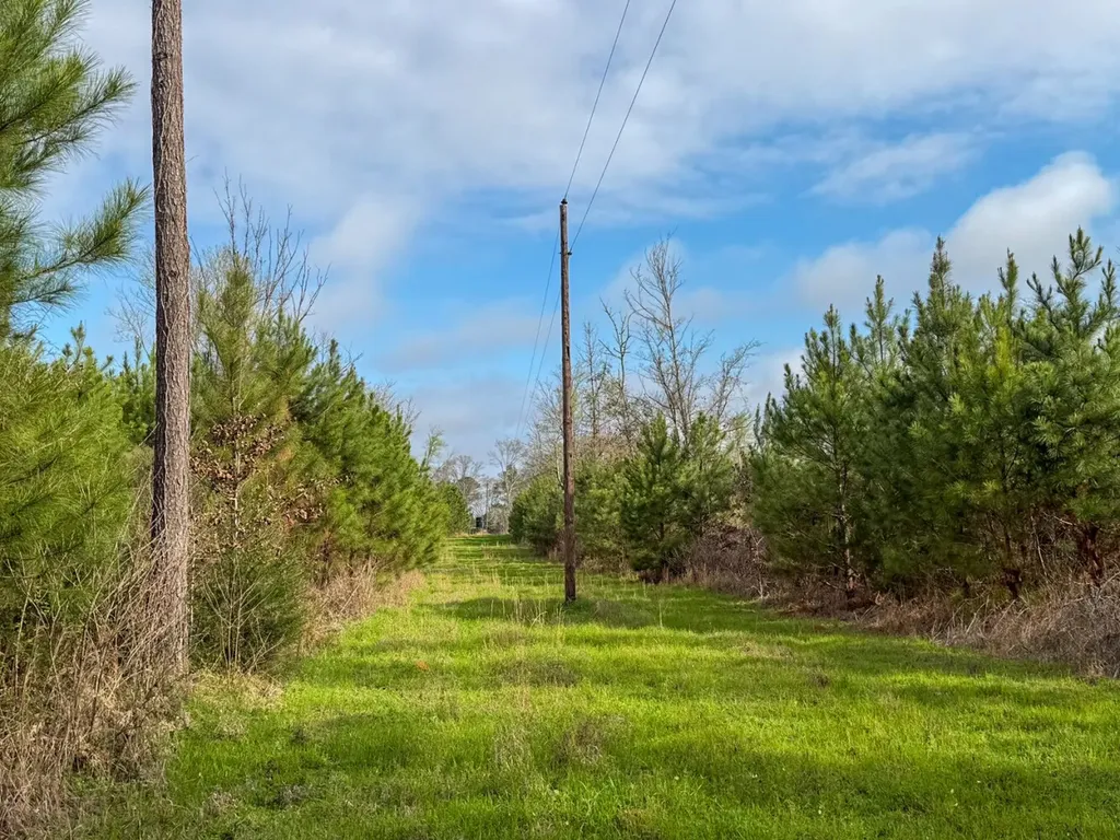 0 Co Road 11 Orrville AL 36767