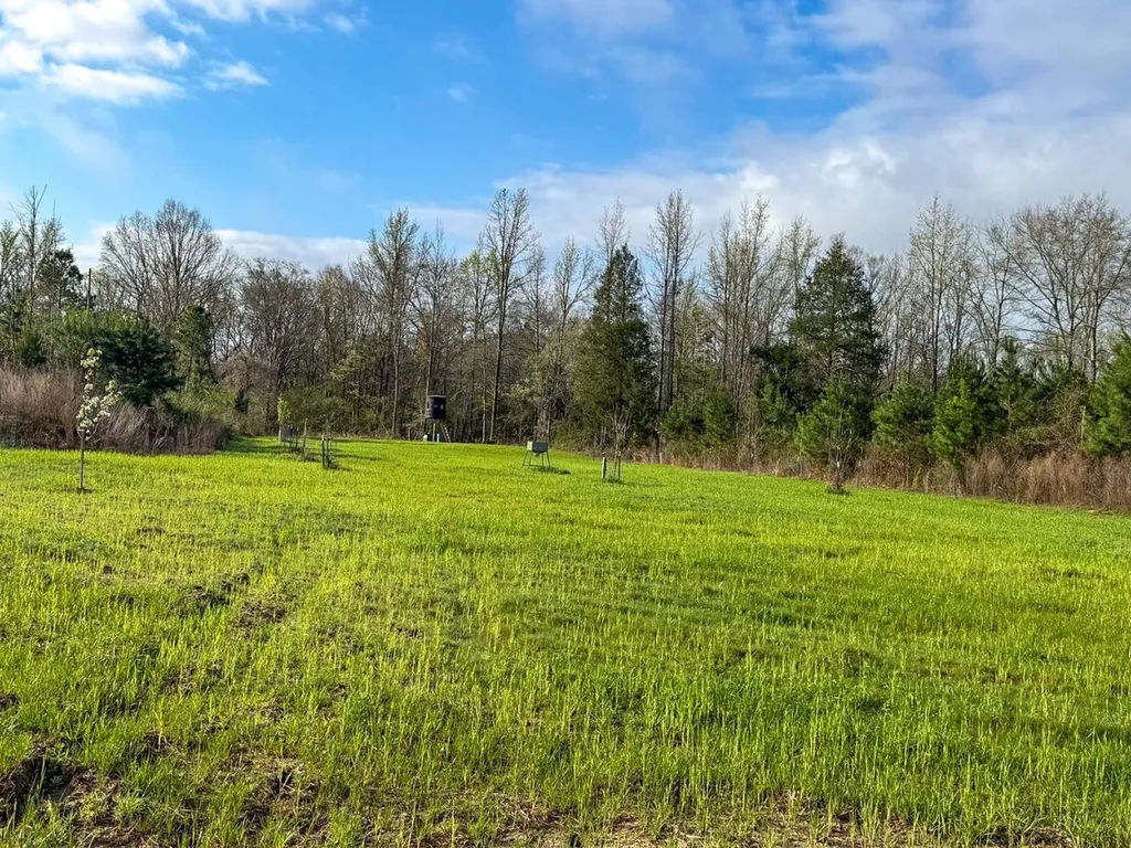 0 Co Road 11 Orrville AL 36767